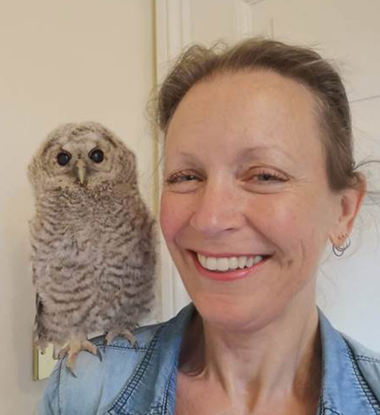 Frieda Hughes Antony Harwood Literary Agency